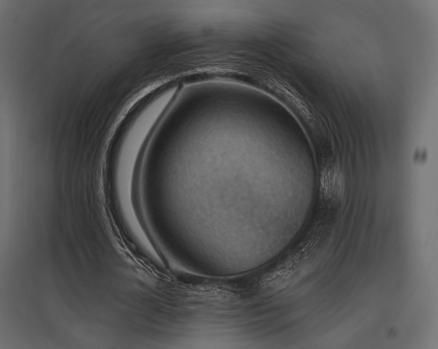 X0000097770724200803071317