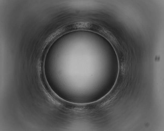 X0000097770725200803071317