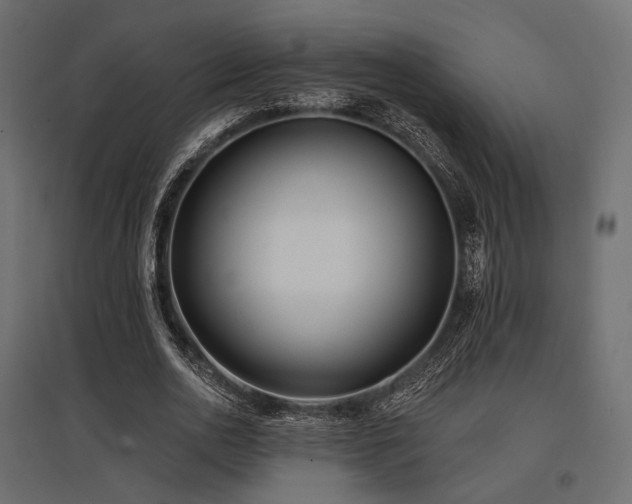 X0000097770726200803071317