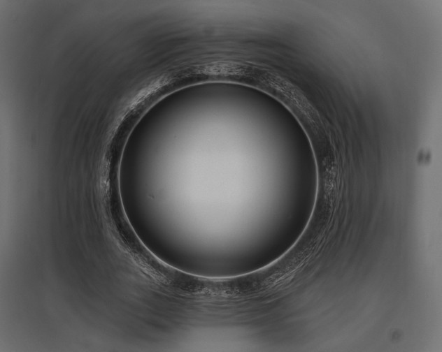X0000097770727200803071317