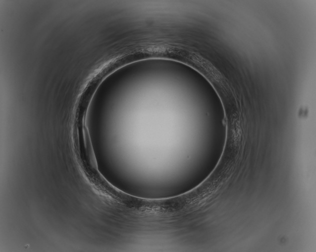 X0000097770728200803071317