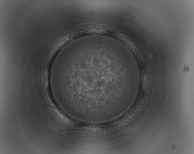 X0000097770729200803071317