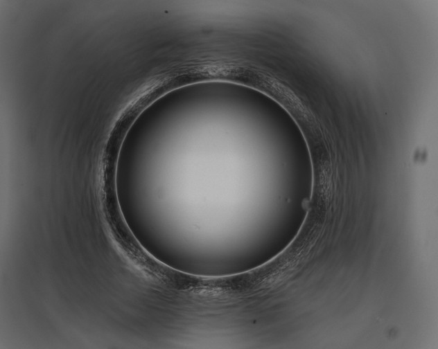 X0000097770730200803071317