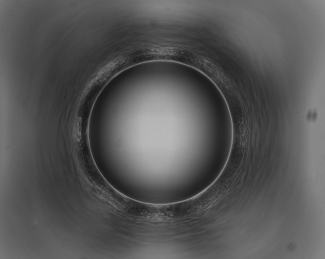 X0000097770731200803071317