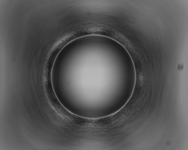 X0000097770732200803071317