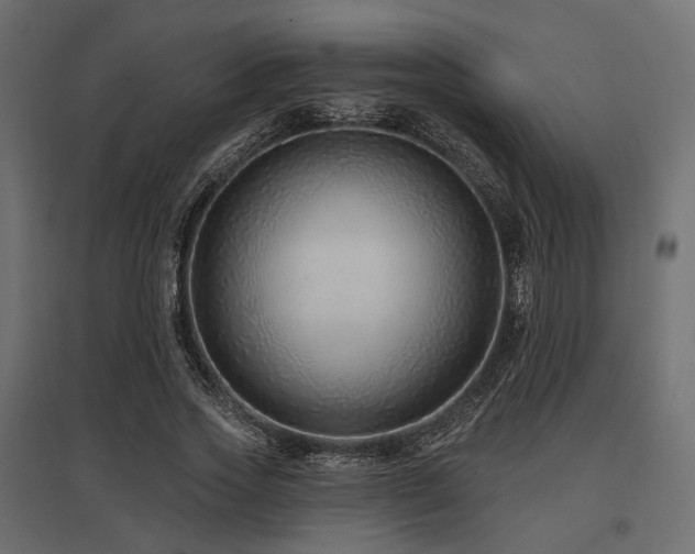 X0000097770733200803071317