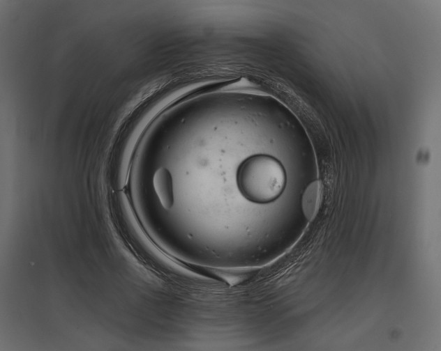 X0000097770734200803071317