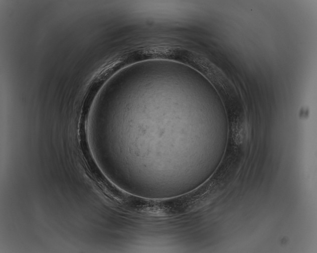 X0000097770735200803071317