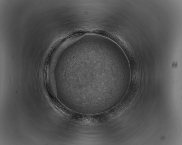 X0000097770736200803071317