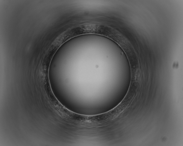 X0000097770737200803071317