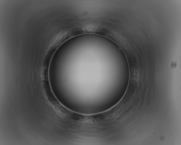 X0000097770738200803071317