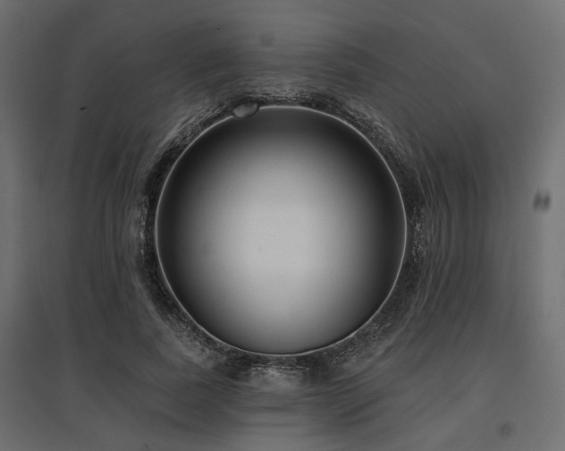 X0000097770739200803071317