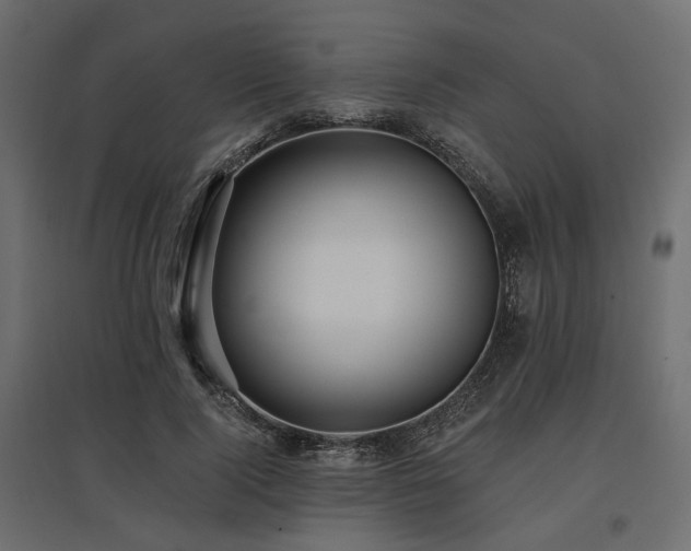 X0000097770740200803071317