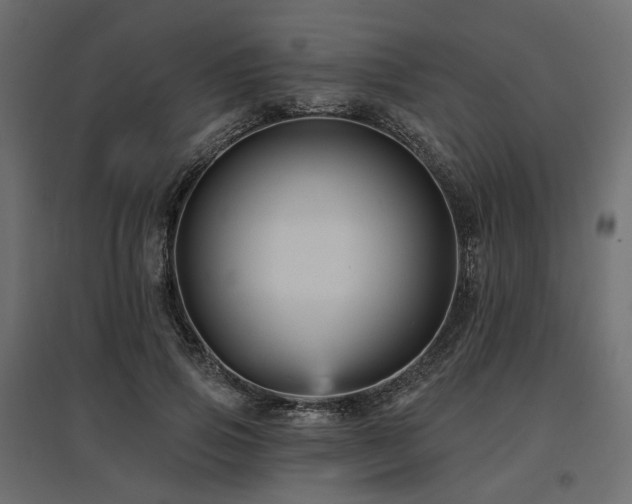X0000097770741200803071317