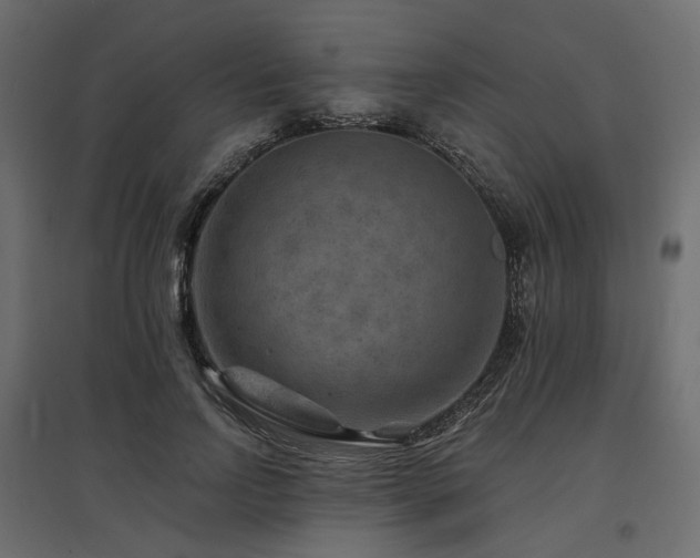 X0000097770742200803071317
