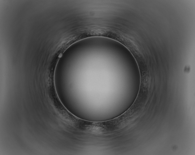 X0000097770743200803071317