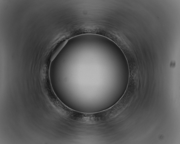 X0000097770744200803071317
