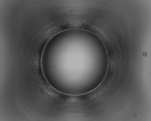 X0000097770745200803071317