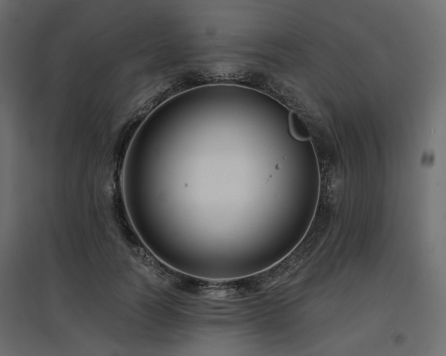 X0000097770746200803071317
