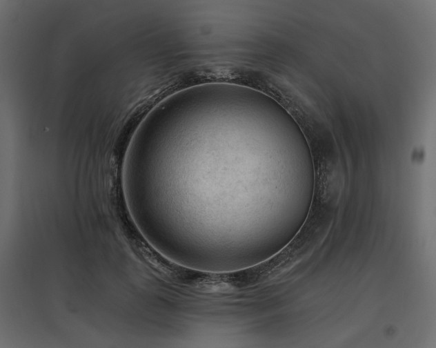 X0000097770747200803071317