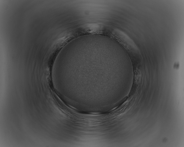 X0000097770748200803071317
