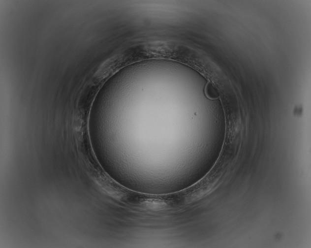 X0000097770749200803071317
