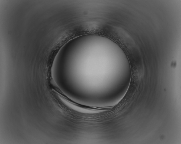 X0000097770750200803071317