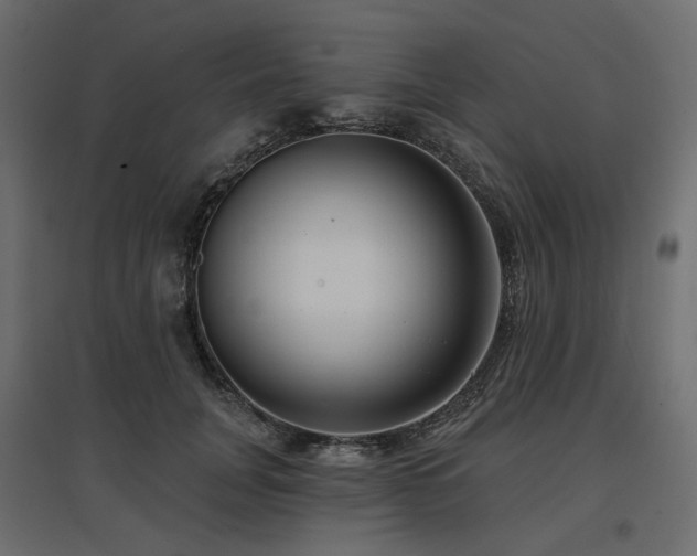 X0000097770751200803071317