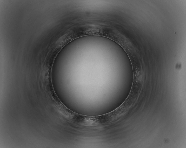 X0000097770753200803071317