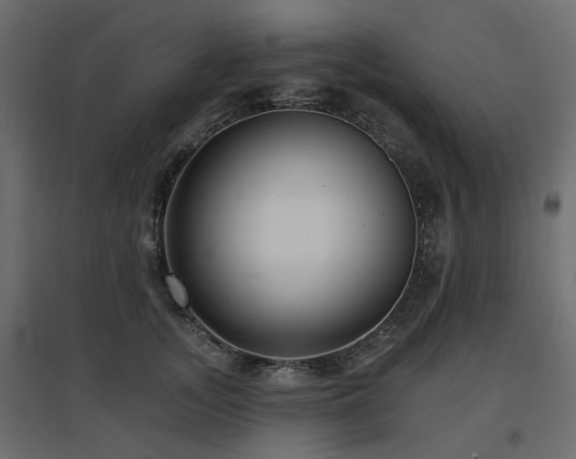 X0000097770755200803071317