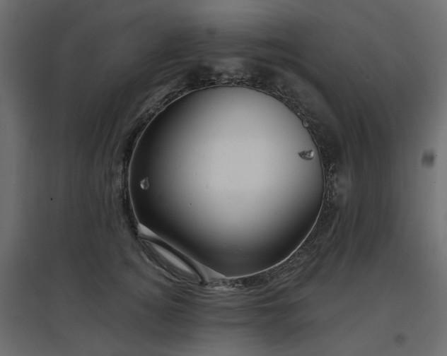 X0000097770756200803071317
