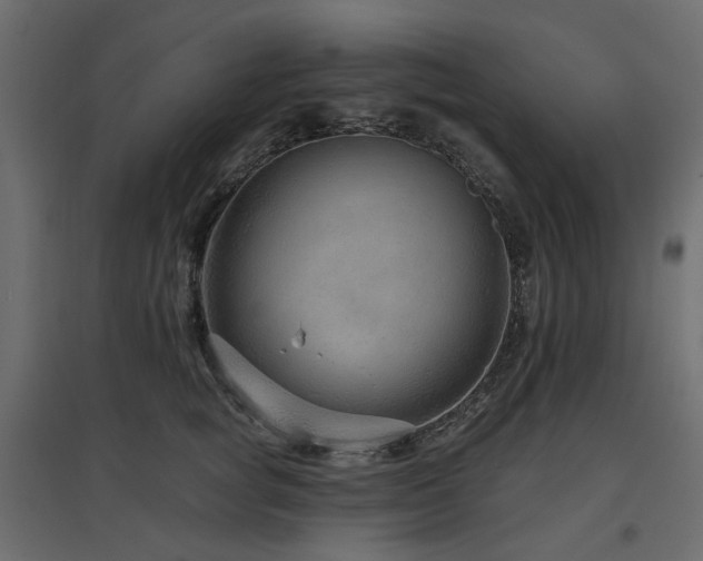 X0000097770757200803071317