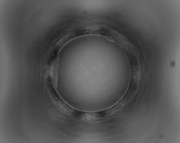 X0000097770758200803071317