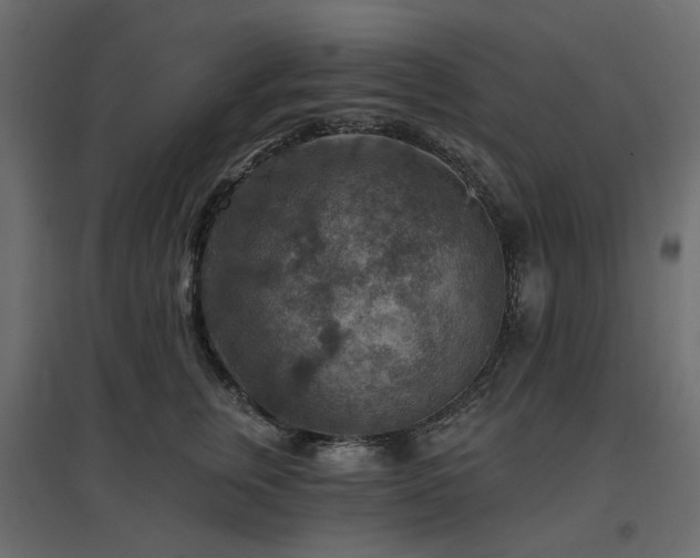 X0000097770759200803071317