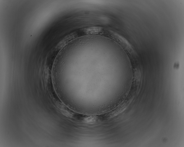 X0000097770761200803071317