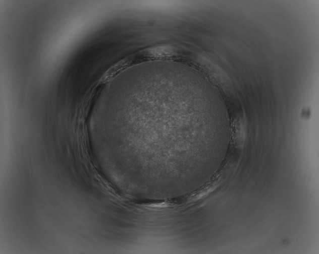 X0000097770762200803071317