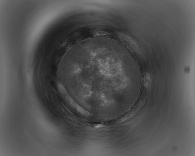 X0000097770763200803071317