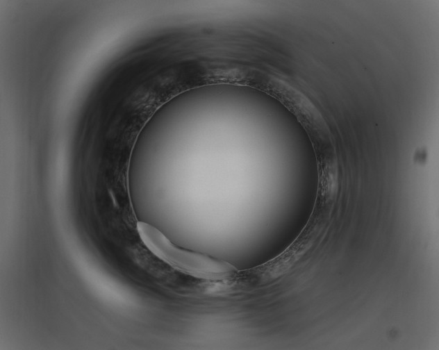 X0000097770764200803071317