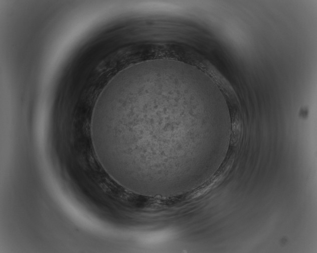 X0000097770765200803071317