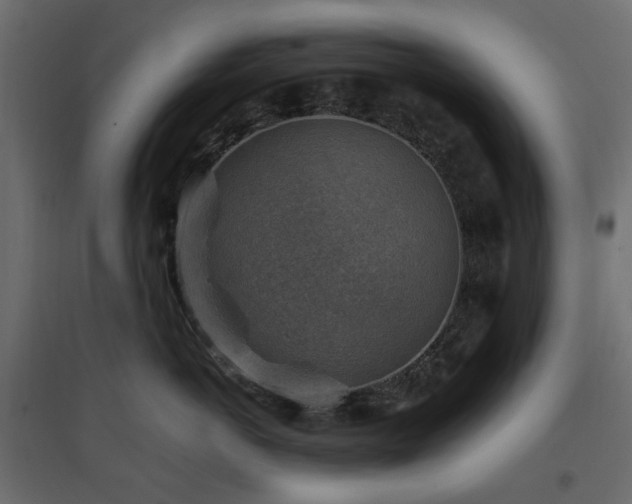 X0000097770766200803071317