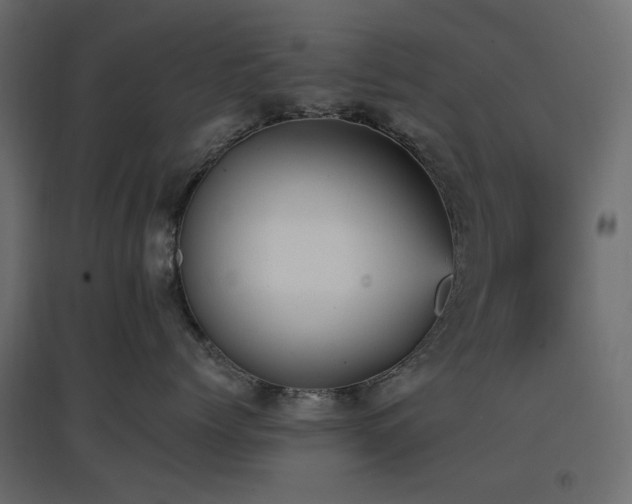 X0000097770768200803071317