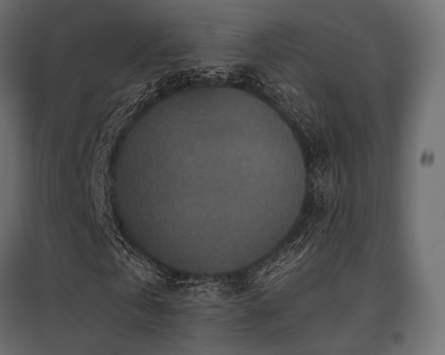 X0000097770769200803071316
