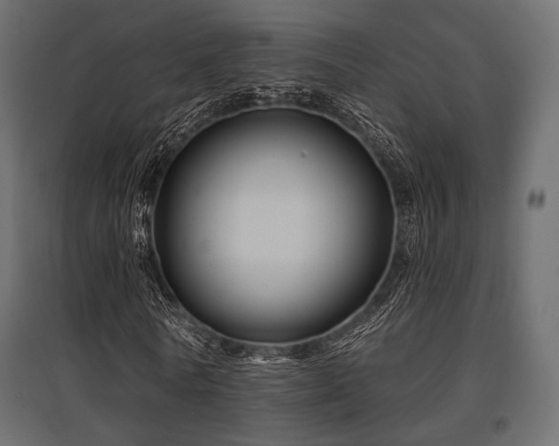 X0000097770770200803071316