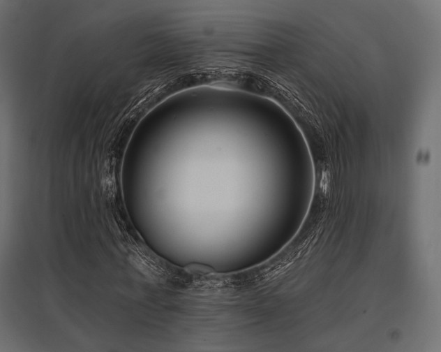 X0000097770771200803071316