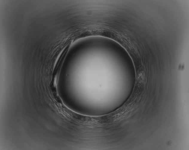 X0000097770772200803071316