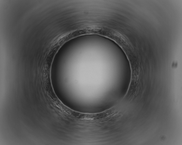 X0000097770773200803071316