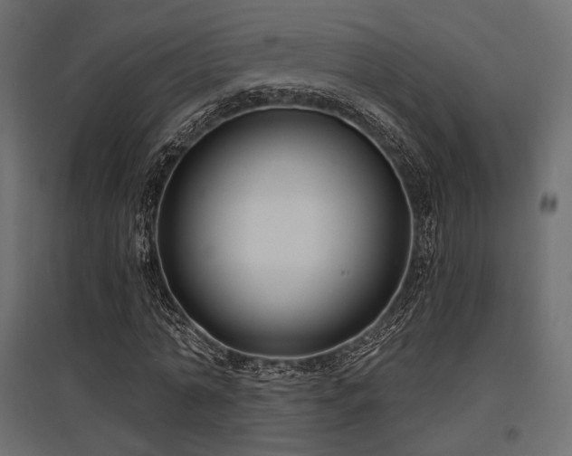 X0000097770774200803071316