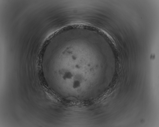 X0000097770775200803071316