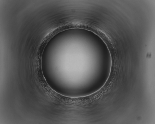 X0000097770776200803071316
