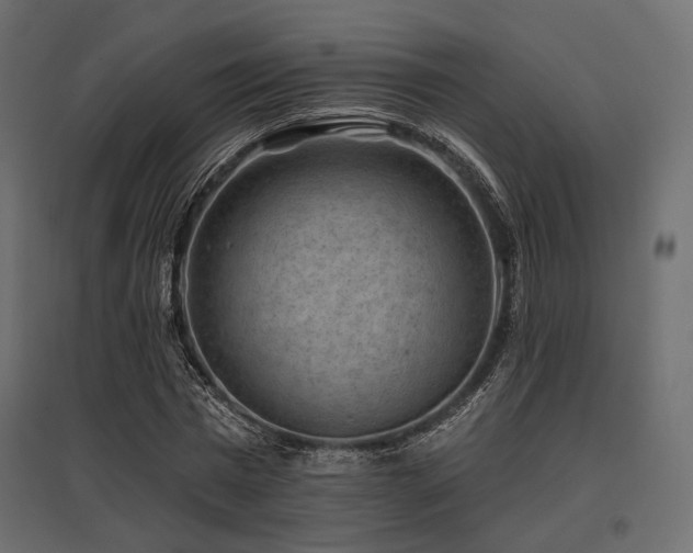 X0000097770777200803071316